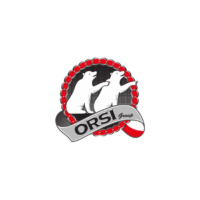 ORSI-Logo